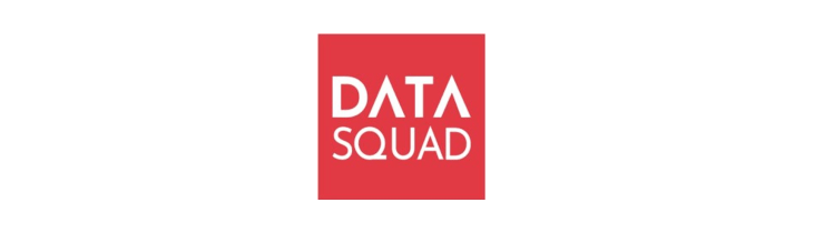 DataSquad Logo